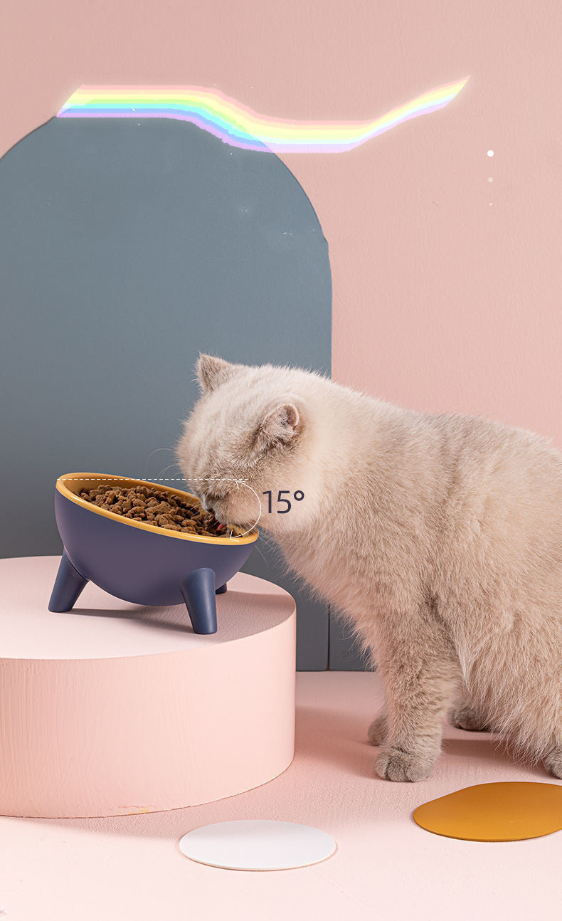 Cat Dog Bowl With Stand Pet