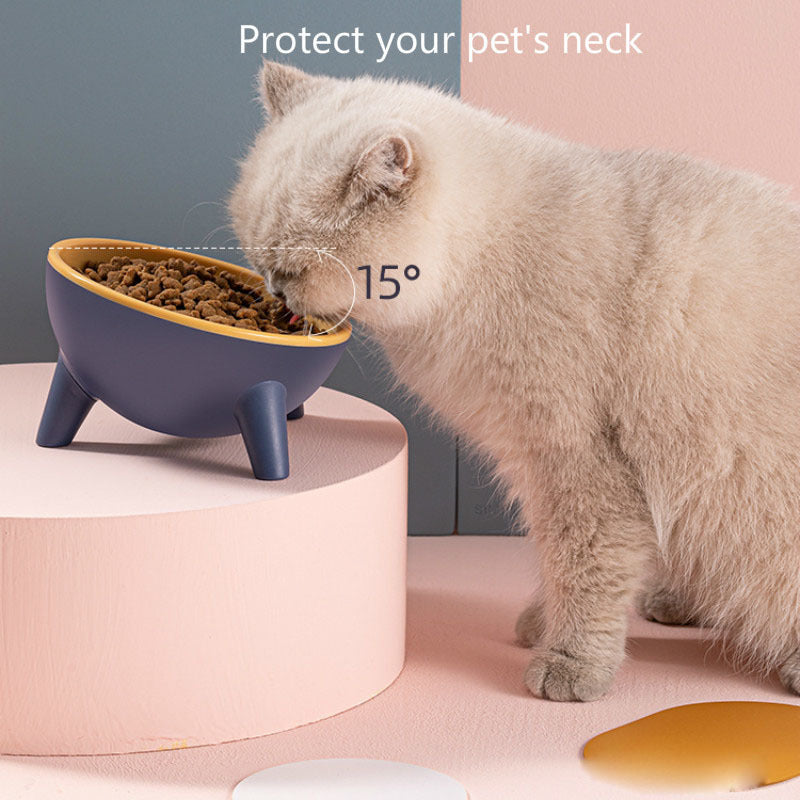 Cat Dog Bowl With Stand Pet