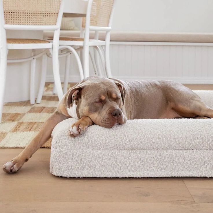 Rectangular Pet Sofa Bed Thickened Mattress