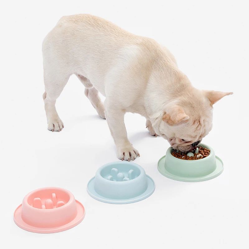 Feeding Food Bowls Anti-Chocking Dog Bowl